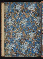 Monograph of the Trochilidae, 1:473