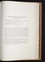 Monograph of the Trochilidae, 1:458