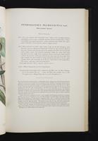 Monograph of the Ramphastidae, 2:102