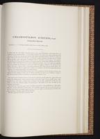 Monograph of the Trochilidae, 1:410