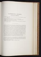 Monograph of the Trochilidae, 1:380