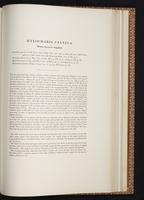 Monograph of the Trochilidae, 1:374