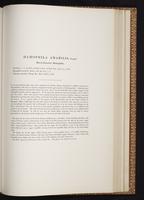 Monograph of the Trochilidae, 1:356