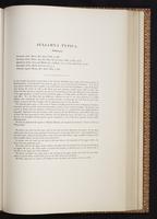 Monograph of the Trochilidae, 1:332