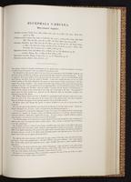 Monograph of the Trochilidae, 1:320