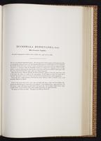 Monograph of the Trochilidae, 1:314