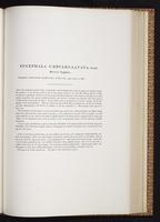 Monograph of the Trochilidae, 1:308
