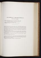 Monograph of the Trochilidae, 1:302