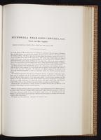 Monograph of the Trochilidae, 1:296