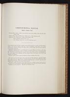 Monograph of the Trochilidae, 1:278