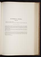 Monograph of the Trochilidae, 1:254