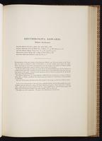 Monograph of the Trochilidae, 1:218