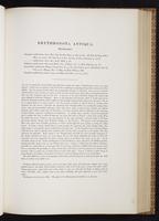 Monograph of the Trochilidae, 1:206