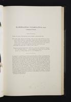 Monograph of the Ramphastidae, 2:78