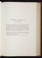 Monograph of the Trochilidae, 1:200