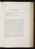 Monograph of the Trochilidae, 1:188