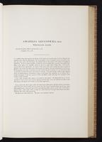 Monograph of the Trochilidae, 1:146