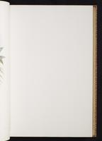 Monograph of the Trochilidae, 1:120