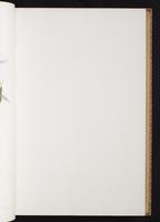 Monograph of the Trochilidae, 1:114