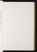 Monograph of the Trochilidae, 1:102