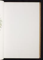 Monograph of the Trochilidae, 1:96