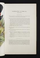 Monograph of the Ramphastidae, 2:66