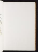 Monograph of the Trochilidae, 1:78