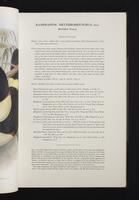 Monograph of the Ramphastidae, 2:58