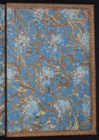 Monograph of the Trochilidae, 1:490