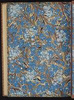 Monograph of the Trochilidae, 1:489