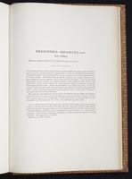 Monograph of the Trochilidae, 1:472