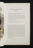 Monograph of the Ramphastidae, 2:54