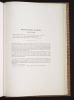 Monograph of the Trochilidae, 1:448