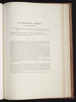 Monograph of the Trochilidae, 1:382