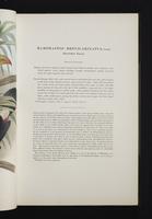 Monograph of the Ramphastidae, 2:46