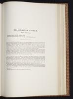 Monograph of the Trochilidae, 1:364