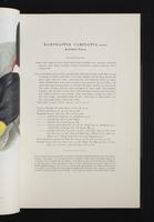 Monograph of the Ramphastidae, 2:42