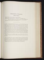 Monograph of the Trochilidae, 1:334