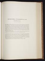 Monograph of the Trochilidae, 1:300