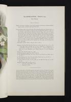 Monograph of the Ramphastidae, 2:38