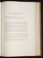 Monograph of the Trochilidae, 1:294