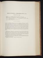 Monograph of the Trochilidae, 1:248