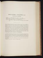 Monograph of the Trochilidae, 1:224