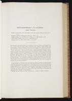 Monograph of the Trochilidae, 1:158