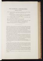 Monograph of the Trochilidae, 1:128