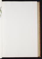 Monograph of the Trochilidae, 1:120