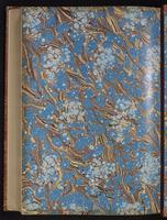 Monograph of the Trochilidae, 1:539