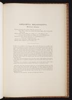 Monograph of the Trochilidae, 1:504