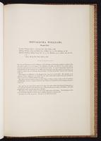 Monograph of the Trochilidae, 1:474