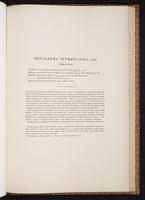 Monograph of the Trochilidae, 1:462